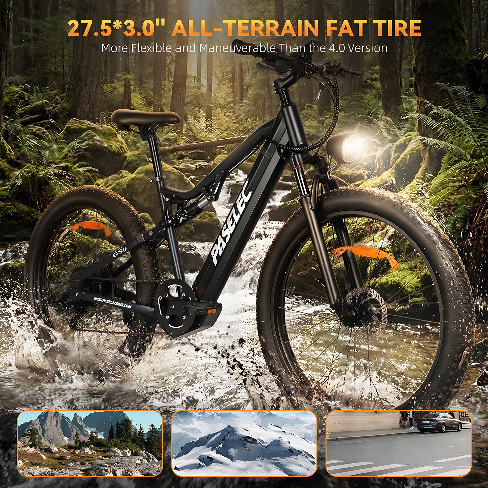 Paselec GS9 Pro 1300W Peak 27.5"*3.0 INCH EMTB