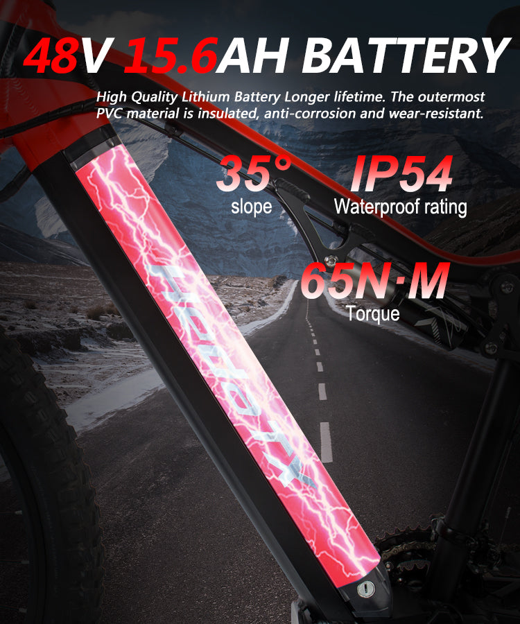 TX19 Battery, 48V 15.6AH