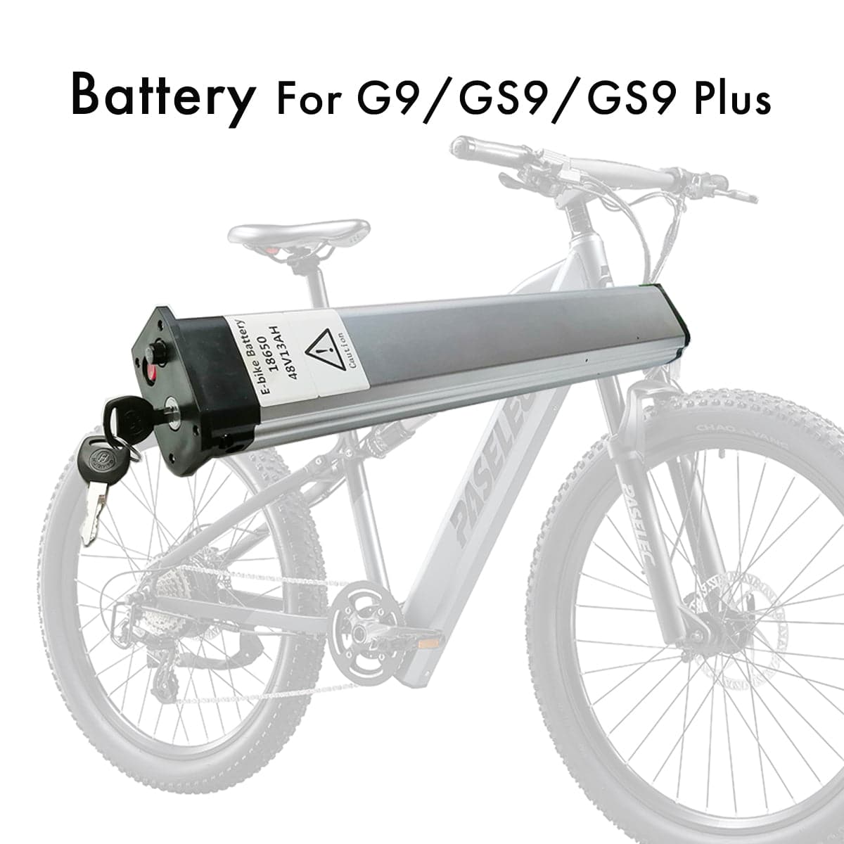 48V 16AH Battery for G9 GS9 GS9plus Ebike