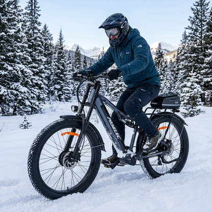 PASELEC TX29 1500W Peak Dual Motor 27.5"*3.0 eMTB