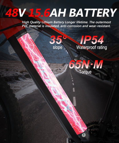 TX19 Battery, 48V 15.6AH