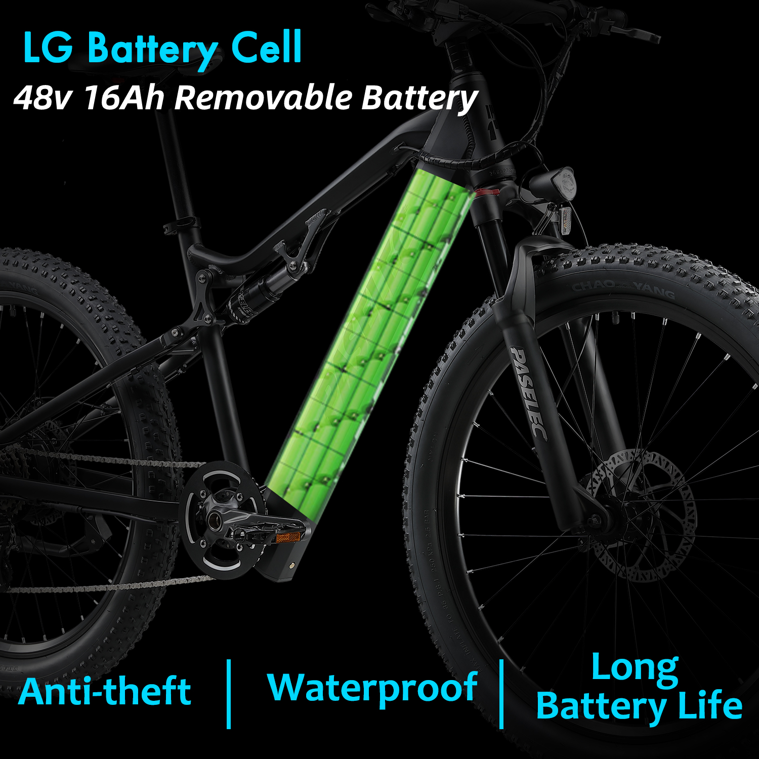 Paselec GS9 500W 27.5"*3.0 INCH EMTB