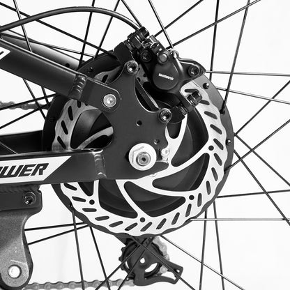 Paselec GS9 500W 27.5"*3.0 INCH EMTB