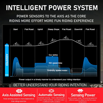 Paselec GS9 500W 27.5"*3.0 INCH EMTB