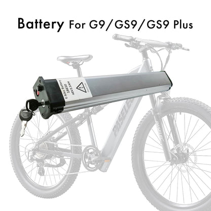 48V 16AH Battery for G9 GS9 GS9plus Ebike